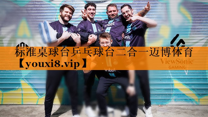 标准桌球台乒乓球台二合一迈博体育