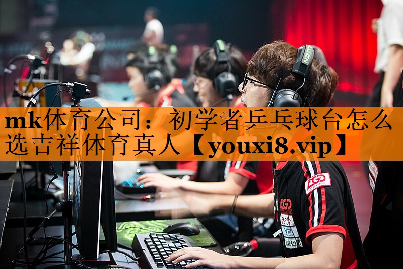 mk体育公司：初学者乒乓球台怎么选吉祥体育真人