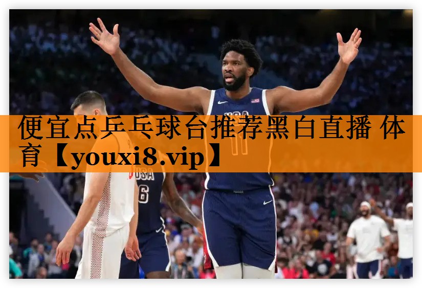 便宜点乒乓球台推荐黑白直播 体育