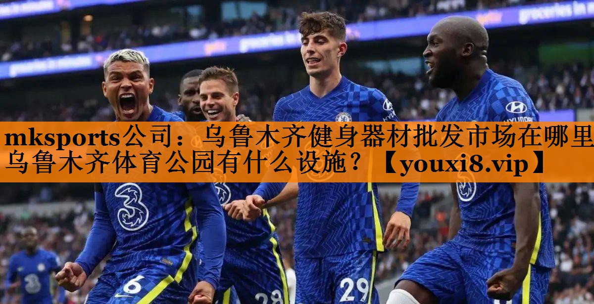 mksports公司：乌鲁木齐健身器材批发市场在哪里,乌鲁木齐体育公园有什么设施？