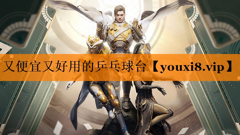 又便宜又好用的乒乓球台