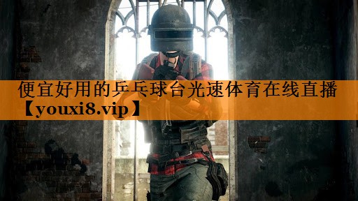 便宜好用的乒乓球台光速体育在线直播