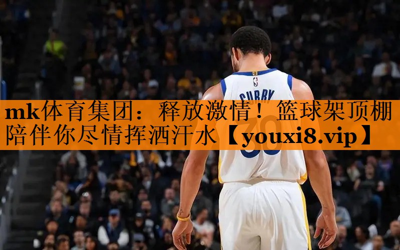 释放激情！篮球架顶棚陪伴你尽情挥洒汗水